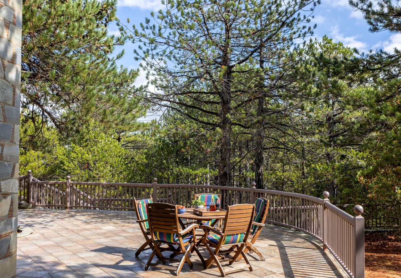 Villa in Pedoulas - Troodos Mature Pine Chalet 
