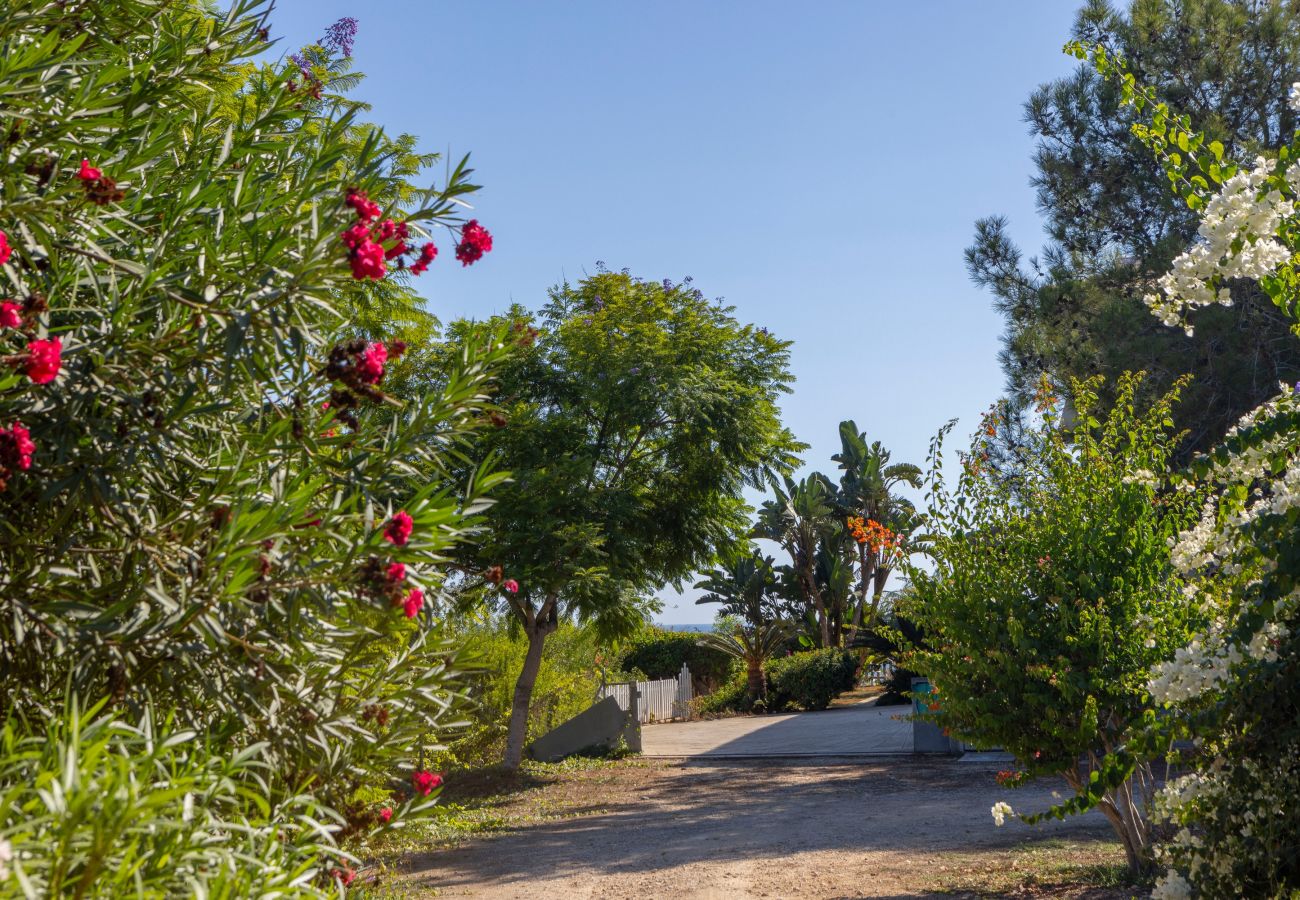 Villa in Ayia Napa - Ayia Napa Sycamore Seaview