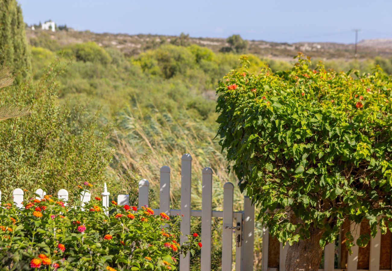 Villa in Ayia Napa - Ayia Napa Sycamore Seaview