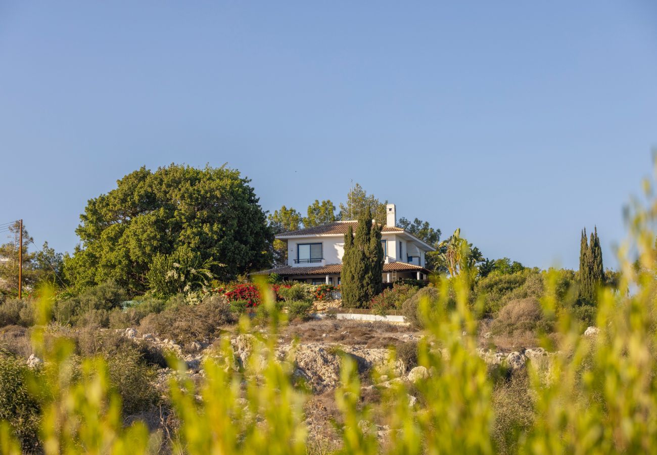 Villa in Ayia Napa - Ayia Napa Sycamore Seaview