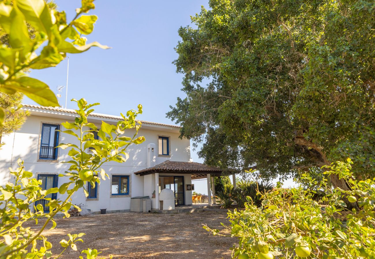 Villa in Ayia Napa - Ayia Napa Sycamore Seaview