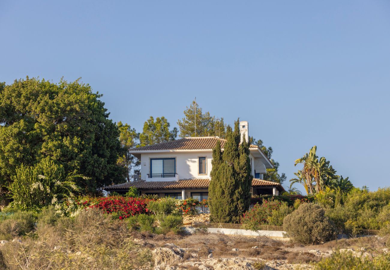 Villa in Ayia Napa - Ayia Napa Sycamore Seaview