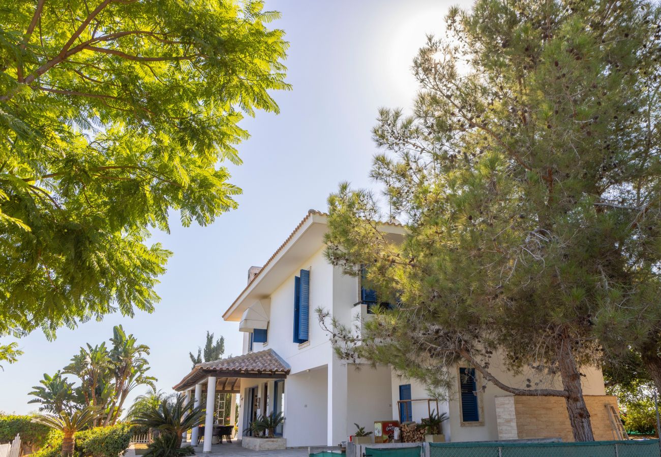 Villa in Ayia Napa - Ayia Napa Sycamore Seaview